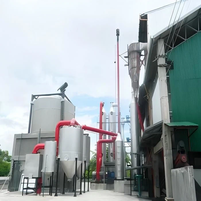 Ancillary Equipment for Biomass Gasification